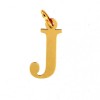 zdjęcie zawieszki litera j
